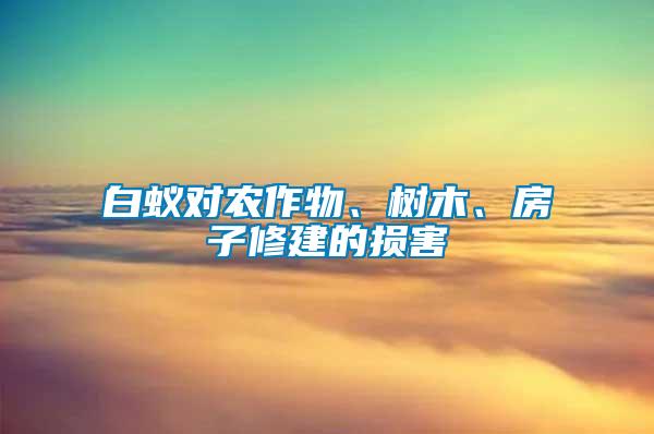 白蟻對農(nóng)作物、樹木、房子修建的損害