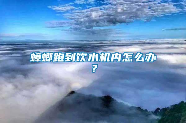 蟑螂跑到飲水機內(nèi)怎么辦？