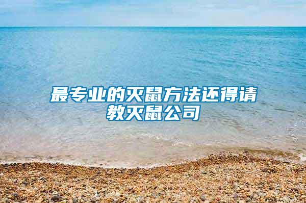 最專(zhuān)業(yè)的滅鼠方法還得請(qǐng)教滅鼠公司
