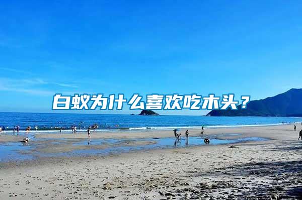 白蟻為什么喜歡吃木頭？