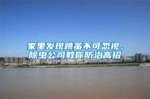 家里發(fā)現(xiàn)跳蚤不可忽視，除蟲公司教你防治高招