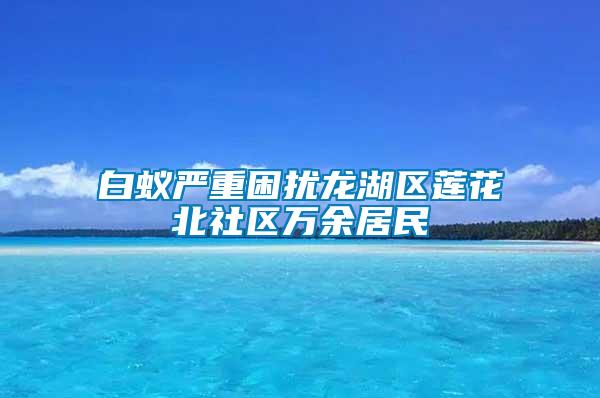 白蟻嚴重困擾龍湖區(qū)蓮花北社區(qū)萬余居民