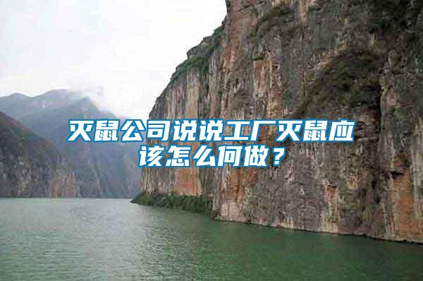 滅鼠公司說(shuō)說(shuō)工廠滅鼠應(yīng)該怎么何做？