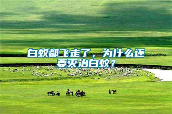 白蟻都飛走了，為什么還要滅治白蟻？