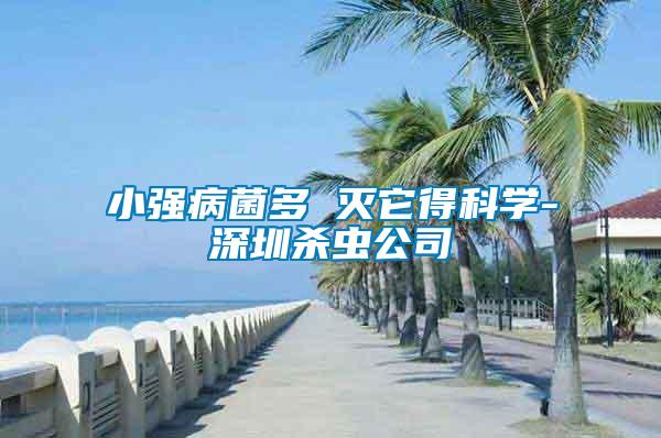 小強(qiáng)病菌多 滅它得科學(xué)-深圳殺蟲(chóng)公司