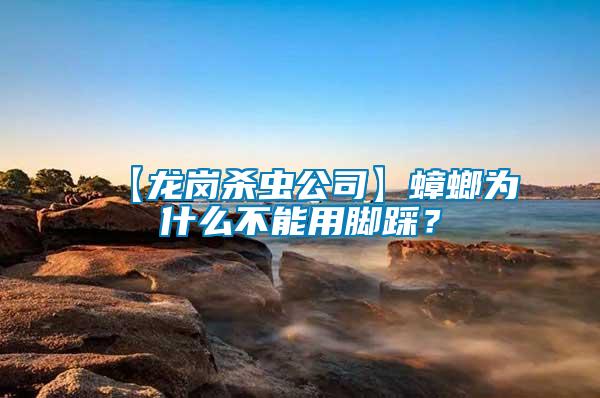 【龍崗殺蟲公司】蟑螂為什么不能用腳踩？