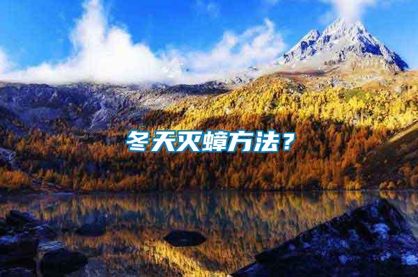 冬天滅蟑方法？