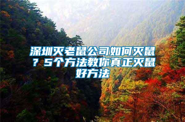 深圳滅老鼠公司如何滅鼠？5個(gè)方法教你真正滅鼠好方法
