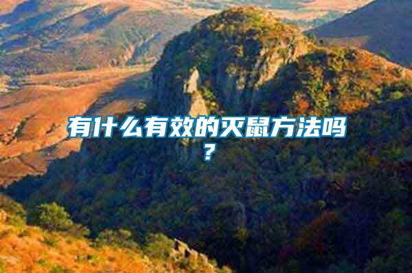 有什么有效的滅鼠方法嗎？