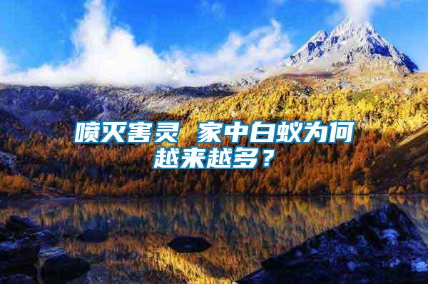 噴滅害靈 家中白蟻為何越來越多？