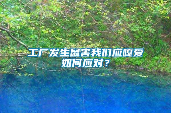 工廠發(fā)生鼠害我們應(yīng)嘎愛如何應(yīng)對(duì)？