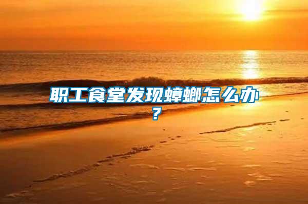 職工食堂發現蟑螂怎么辦？