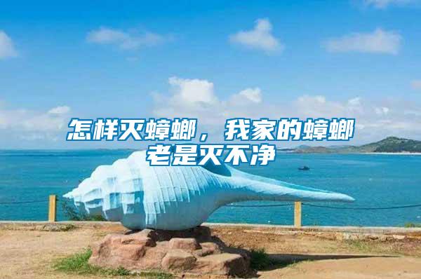 怎樣滅蟑螂，我家的蟑螂老是滅不凈