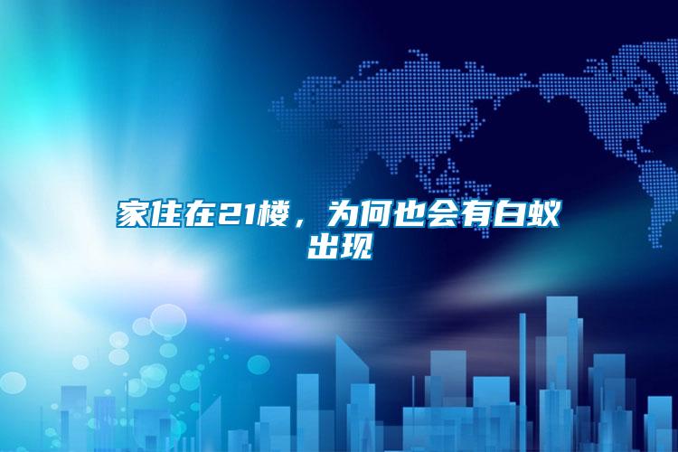 家住在21樓，為何也會有白蟻出現
