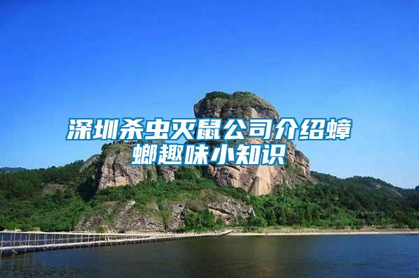 深圳殺蟲滅鼠公司介紹蟑螂趣味小知識(shí)