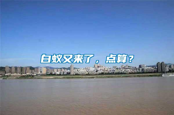 白蟻又來了，點算？