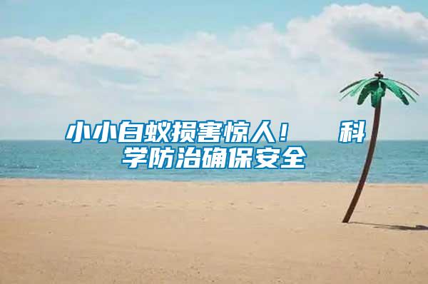 小小白蟻損害驚人！  科學防治確保安全