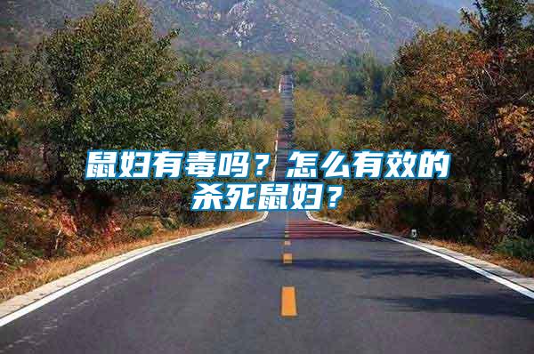 鼠婦有毒嗎？怎么有效的殺死鼠婦？