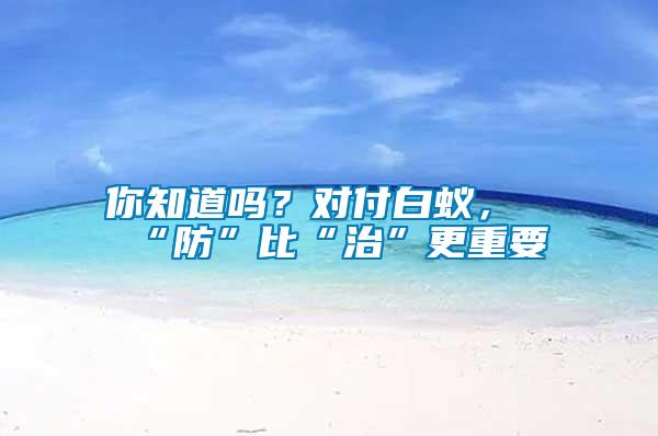 你知道嗎？對付白蟻，“防”比“治”更重要