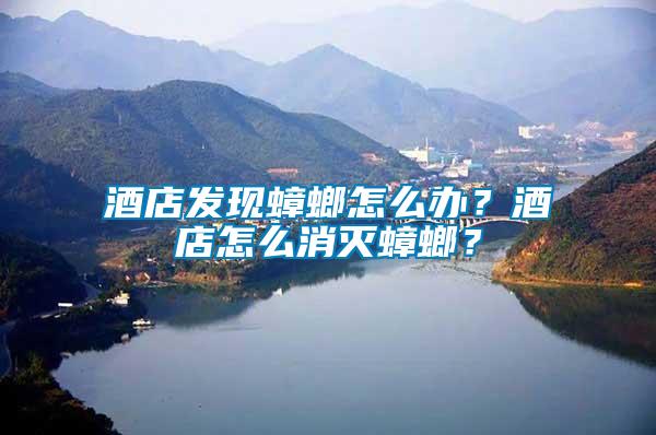 酒店發現蟑螂怎么辦？酒店怎么消滅蟑螂？