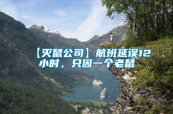 【滅鼠公司】航班延誤12小時，只因一個老鼠