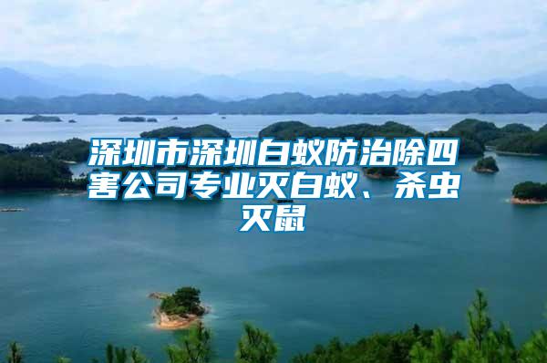 深圳市深圳白蟻防治除四害公司專業(yè)滅白蟻、殺蟲(chóng)滅鼠