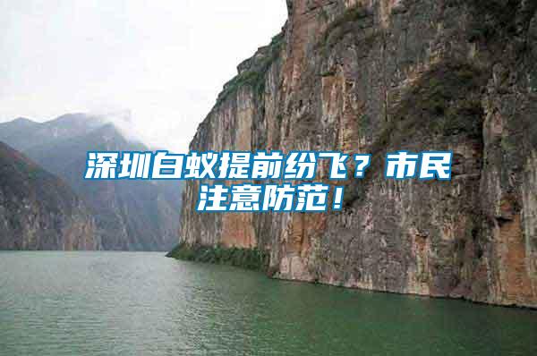 深圳白蟻提前紛飛？市民注意防范！