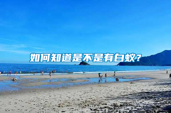 如何知道是不是有白蟻？