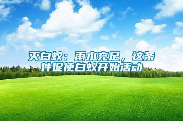 滅白蟻：雨水充足，這條件促使白蟻開始活動(dòng)