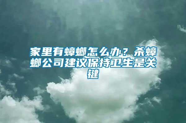 家里有蟑螂怎么辦？殺蟑螂公司建議保持衛(wèi)生是關(guān)鍵
