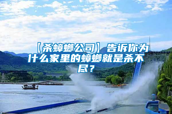 【殺蟑螂公司】告訴你為什么家里的蟑螂就是殺不盡？