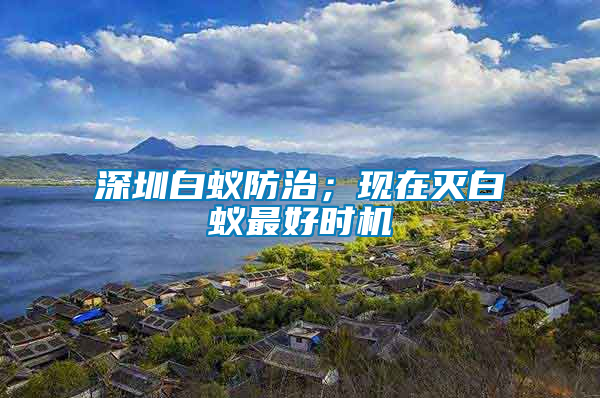 深圳白蟻防治；現(xiàn)在滅白蟻最好時機