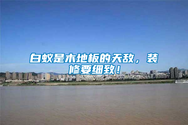 白蟻是木地板的天敵，裝修要細致！