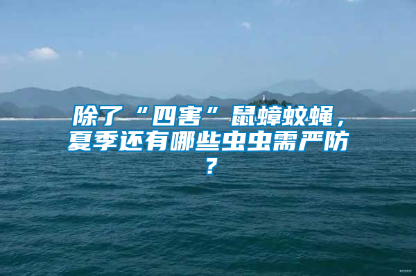 除了“四害”鼠蟑蚊蠅，夏季還有哪些蟲蟲需嚴(yán)防？