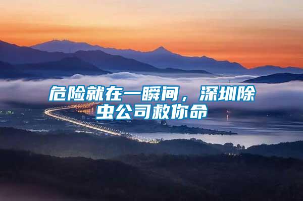 危險就在一瞬間，深圳除蟲公司救你命