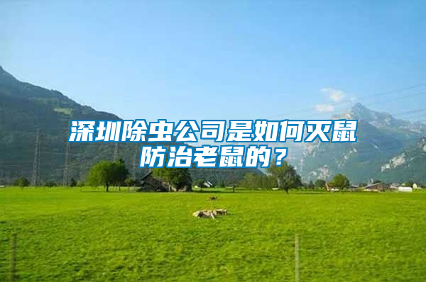 深圳除蟲(chóng)公司是如何滅鼠防治老鼠的？