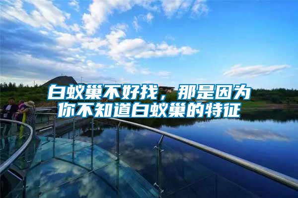 白蟻巢不好找，那是因為你不知道白蟻巢的特征