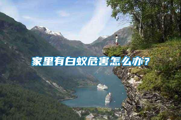 家里有白蟻危害怎么辦？