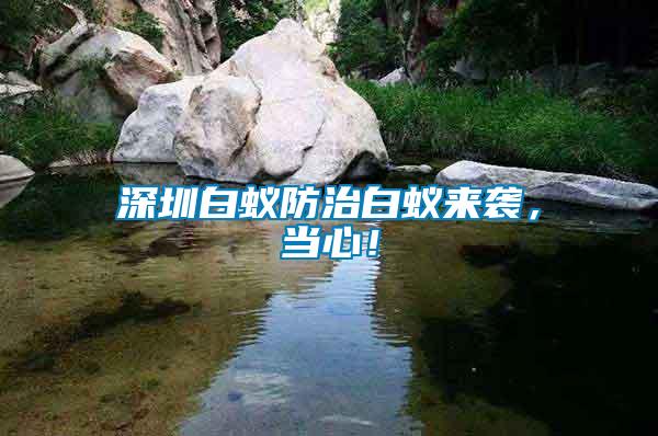 深圳白蟻防治白蟻來襲，當心！