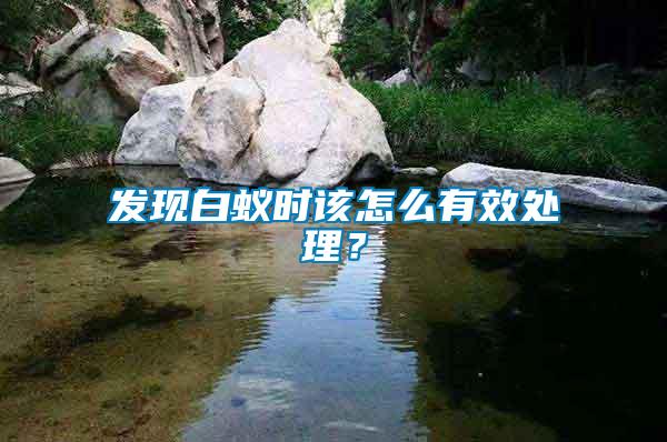 發(fā)現(xiàn)白蟻時(shí)該怎么有效處理？