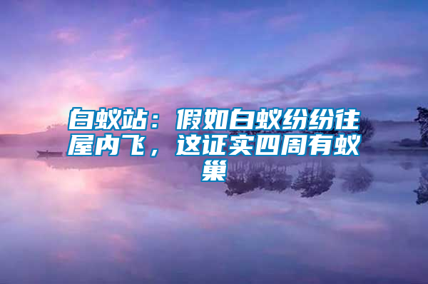 白蟻站：假如白蟻紛紛往屋內飛，這證實四周有蟻巢