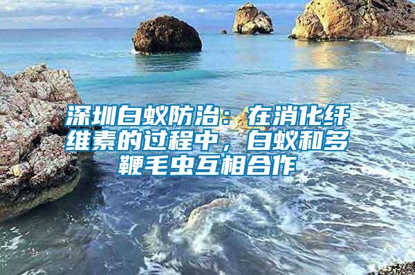 深圳白蟻防治：在消化纖維素的過程中，白蟻和多鞭毛蟲互相合作