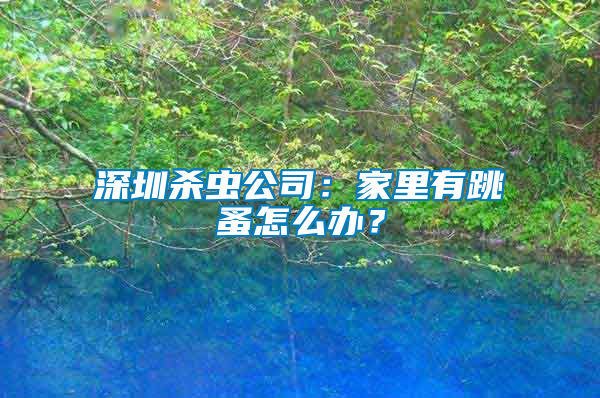 深圳殺蟲公司：家里有跳蚤怎么辦？