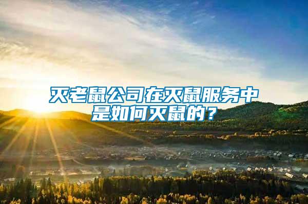 滅老鼠公司在滅鼠服務中是如何滅鼠的？