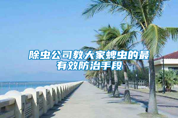 除蟲(chóng)公司教大家蜱蟲(chóng)的最有效防治手段