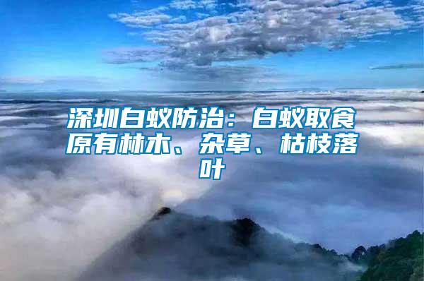 深圳白蟻防治：白蟻取食原有林木、雜草、枯枝落葉