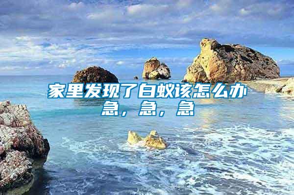 家里發(fā)現(xiàn)了白蟻該怎么辦急，急，急