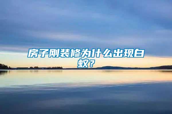 房子剛裝修為什么出現白蟻？