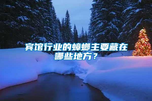 賓館行業的蟑螂主要藏在哪些地方？