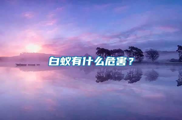 白蟻有什么危害？